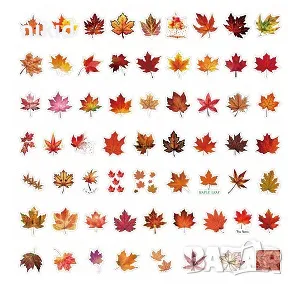 50 бр еленни листа листо есенно самозалепващи лепенки стикери за украса декор картонена торта др, снимка 5 - Други - 47522387