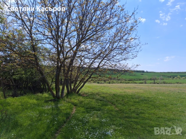 Продавам уютна селска къща в с.Стрелец обл. В.Търново , снимка 2 - Къщи - 50505398