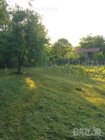 Продавам парцел в село Балван,област В.Търново., снимка 3 - Парцели - 50557427