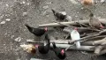 носачки и петле, снимка 2