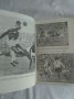 Книжка за осмо световното първенство по футбол в Англия 1966 година със снимки , коментари , снимка 11