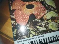 РАСТЕНИЯ-ПАРАЗИТИ-КНИГА 0210242023, снимка 3