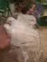 Разпродажба на материали за декорация , снимка 2