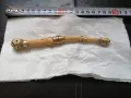 Малка ножка чемшир украса камъни , снимка 1