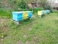 Пчелни кошери с прашецоуловители-50 броя, снимка 2