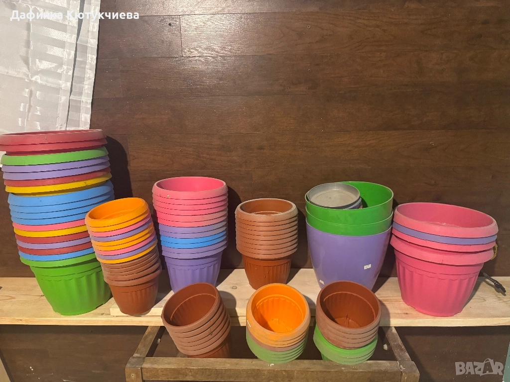 Саксии, снимка 1