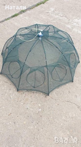 Рачило, снимка 1