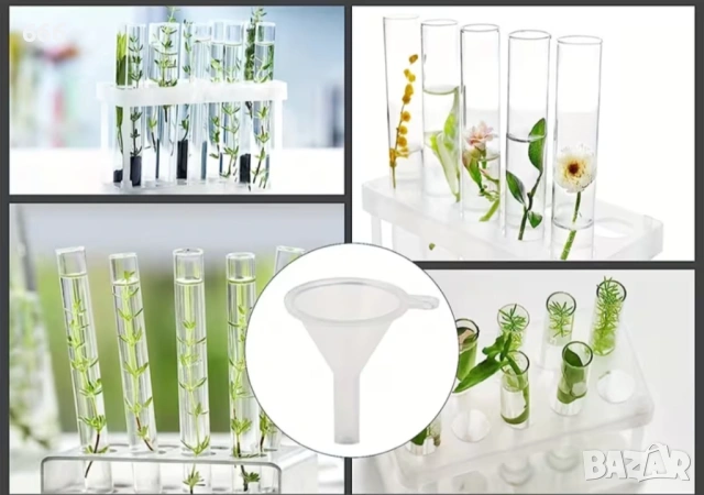 30 броя стъклени епруветки , снимка 3 - Декорация за дома - 53900206