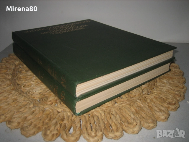 Енциклопедичесский словарь медицинских терминов - 1982 г., снимка 2 - Чуждоезиково обучение, речници - 52123409