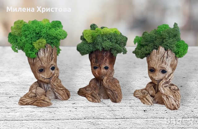 "Груд" със скандинавски мъх