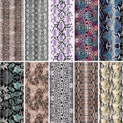  10 броя Комплект фолио змийска кожа , снимка 3 - Продукти за маникюр - 31155880