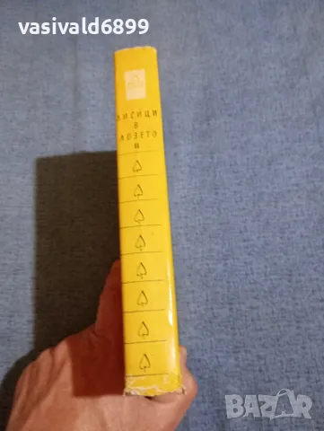 Лион Фойхтвангер - Лисици в лозето 2, снимка 2 - Художествена литература - 50086533