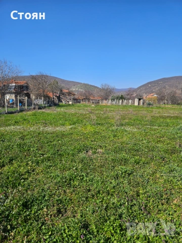 3 парцела с къща в с. Оряховица, снимка 6 - Парцели - 53926691