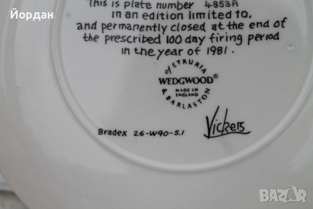 Ръчно рисувани порцеланови чинии , снимка 7 - Чинии - 36734975