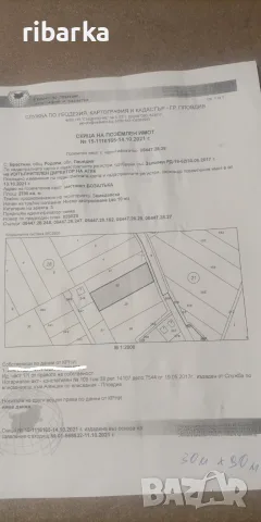 Продавам парцел за жилищно в с. Брестник - 2,7 дка, снимка 2 - Парцели - 55778274