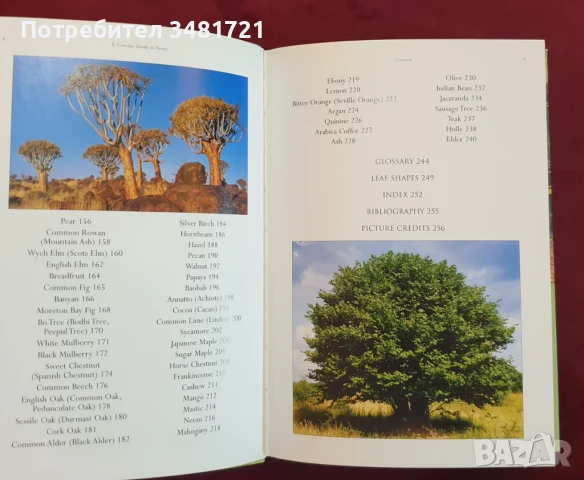 Справочник на дърветата по света / A Concise Guide to Trees, снимка 4 - Енциклопедии, справочници - 50869544
