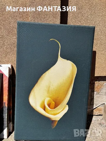 Картини от Италия в различни размери , снимка 3 - Картини - 50332692