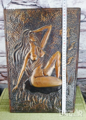 Медно пано, снимка 2 - Пана - 53932809