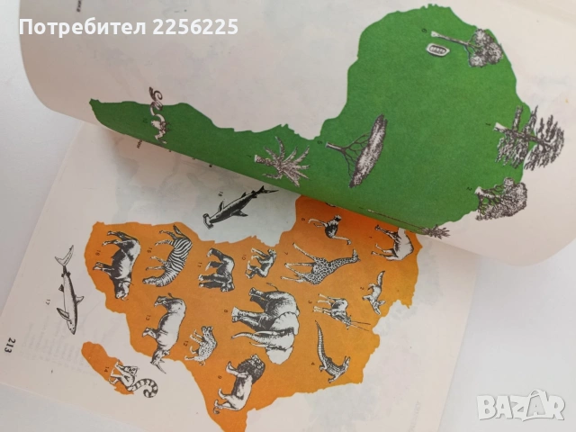 Какво знаем за... Континентите, снимка 9 - Специализирана литература - 54309420