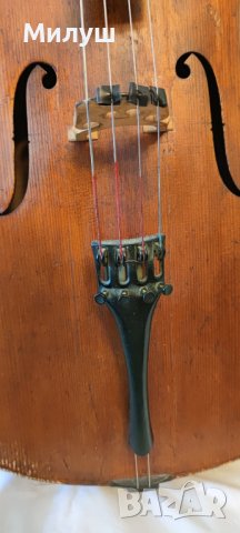 Виолончело Jan Basta cello for sale лък Otto Durrschmidt bow for sale, снимка 4 - Струнни инструменти - 40086733