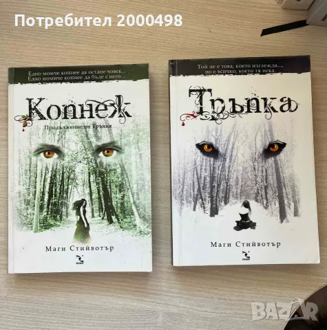 Комплект книги Тръпка и Копнеж на Маги Стийвотър