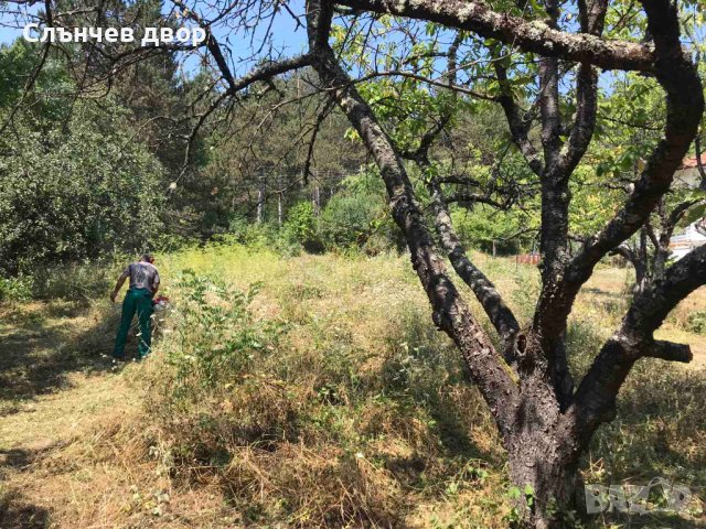 Косене на трева. Рязане на храсти и опасни дървета. Разчистване на терени., снимка 7 - Други услуги - 40197343