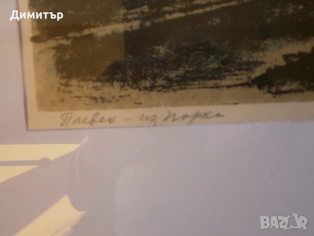 Литография Ц.Костуркова, снимка 3 - Картини - 35501102