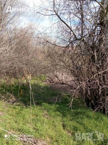 Парцел със стара постройка в с. Оряхово, общ. Любимец, снимка 16 - Парцели - 52052897