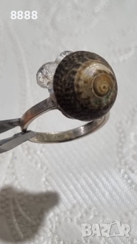 Сребърен пръстен с черупка от охлюв 