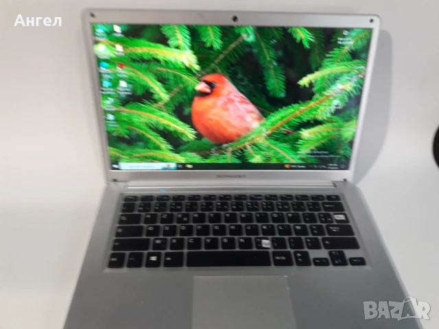 SCHNEIDER 14.1инча