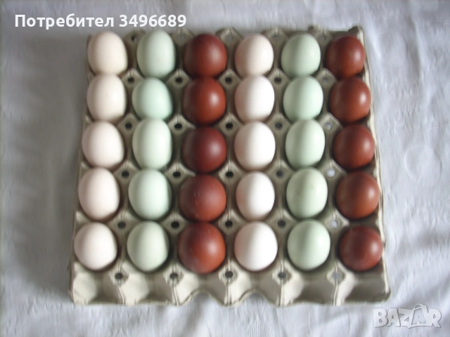 Продавам домашни яйца от свободни кокошки., снимка 2 - други­ - 52770537