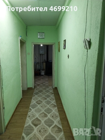 Безплатно, съжителство, Велинград , снимка 6 - Други услуги - 52975874