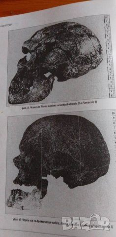 Началото - Иван Гацов, снимка 5 - Специализирана литература - 39079255