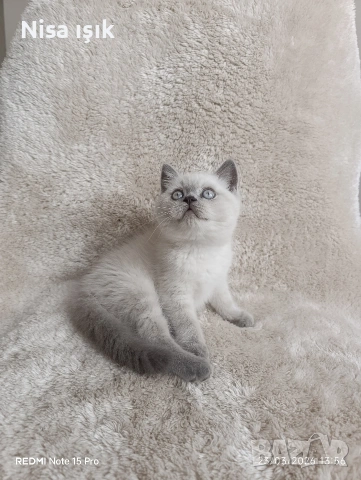 момче не е красив той е уникален красив в Хасково