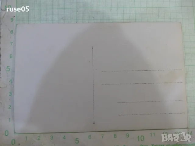 Снимка стара на група младежи пред шадравана, снимка 2 - Колекции - 47910161