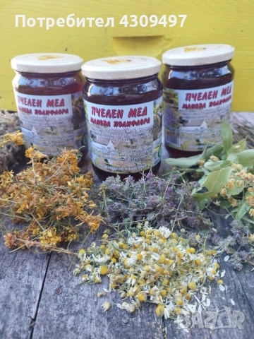 Пчелен мед "Столетник"