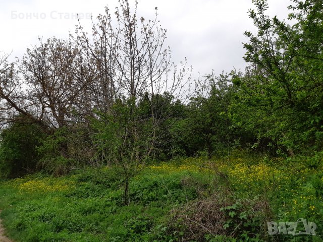 Продавам къща с парцел, снимка 13 - Парцели - 26810812