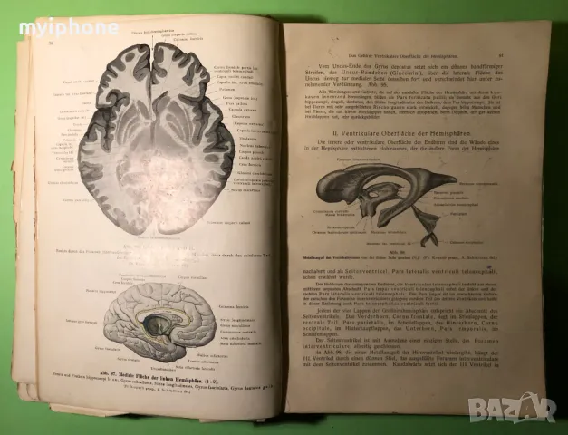 Стара Книга Анатомия ма Човека /Rauber Kopsch, снимка 5 - Специализирана литература - 49218517