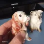 Две стари порцеланови кучета, снимка 1