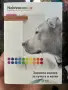 Малки Пухкави Пекинези, снимка 9
