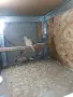 Диамантени гугутки, снимка 4