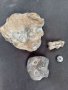 4бр интересни фосили, вкаменелости 