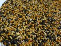 Пчелен прашец 2023 / Акациев и ливаден мед Безплатна доставка, снимка 1 - Пчелни продукти - 35124075