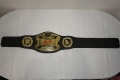 Кеч Колани Jacks Pacific Wrestling Belts WWE Tag Team Champions/WWE Hardcore Championship, снимка 11
