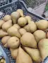 Круши, Ябълки,Мед и Сокове , снимка 1
