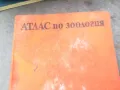 АТЛАС ПО ЗООЛОГИЯ 1974 1002250452, снимка 5