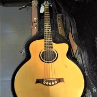 Hofner 5str.acoustic bass, снимка 1 - Китари - 42310316