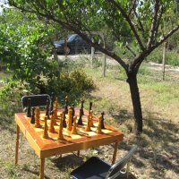 градински шах, снимка 12 - Градински мебели, декорация  - 44241445