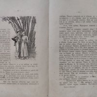 Павелъ и Виргиния Бернарденъ де Сенъ-Пиеръ, снимка 7 - Антикварни и старинни предмети - 42792837