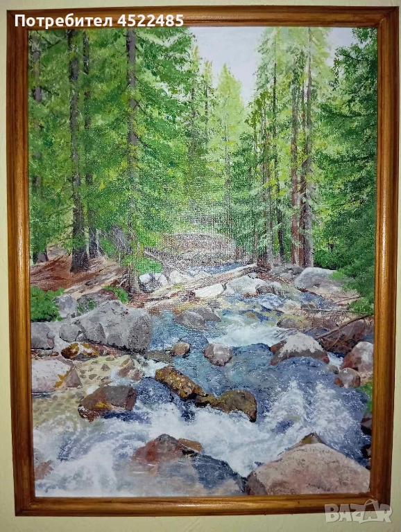 река Демяница 2, снимка 1